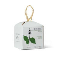 Ethical Grace solid shampoo Lincomparabile on transparent background